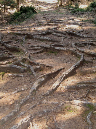 E474A-090712-0009 (93 visite) E474A-090712-0009