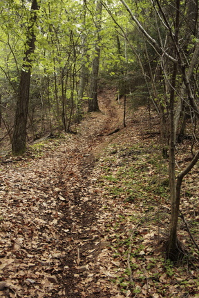 E474A-160424-sentiero-Pinara-Maregiot-03 (89 visite) E474A-160424-sentiero-Pinara-Maregiot-03