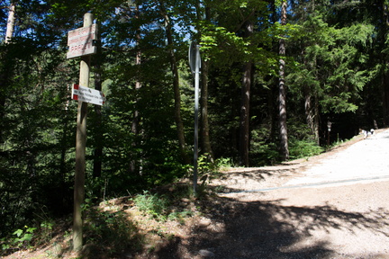 E480-ldp002-01-p1-170726-RT-9357