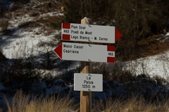 E483-ldp008-00-d01-190129-td