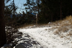 E483-ldp008-00-p01-190129-td