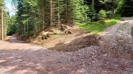 E483-ldp011-00-p01-220608-MB