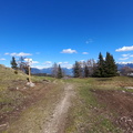 E483-ldp023-00-p01-220428-MB (315 visite) E483-ldp023-00-p01-220428-MB