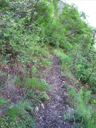 E490A-130508-01 (56 visite) E490A-130508-01