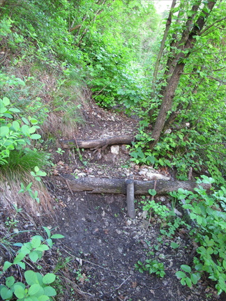 E490A-130508-03 (47 visite) E490A-130508-03