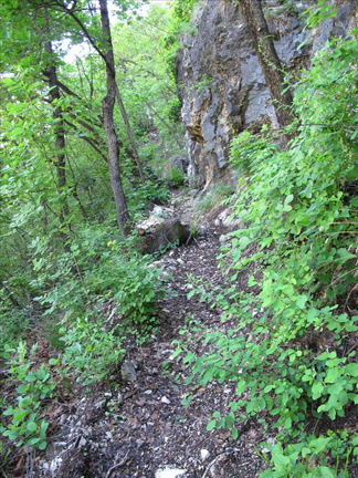 E490A-130508-04 (66 visite) E490A-130508-04