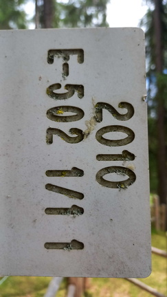 E502-ldp001-01-d02-240628-MB (113 visite) E502-ldp001-01-d02-240628-MB