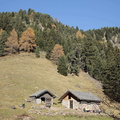 E502-31-Baito-Cugola-Alta-td