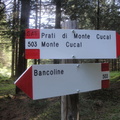 E503-ldp003-00-d01-160528-MB (103 visite) E503-ldp003-00-d01-160528-MB