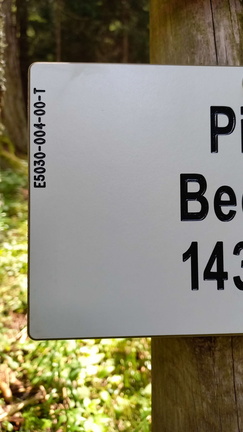 E503-ldp004-00-d02-240616-MB (167 visite) E503-ldp004-00-d02-240616-MB