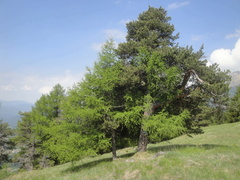 E503-DSC04563