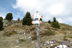 E510-ldp006-00-p1-1205069