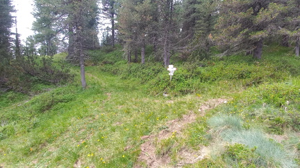 E513-ldp006-00-P01-250705-MB