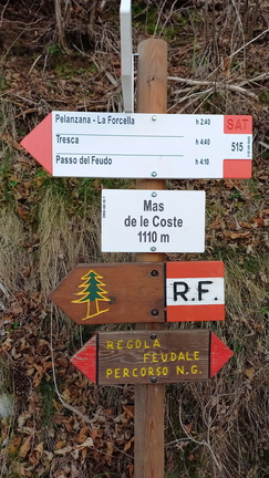 E515-ldp001-20-d01-250404-MB (44 visite) E515-ldp001-20-d01-250404-MB