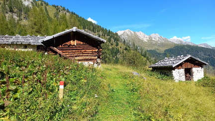 E515B-Malga-Sacina