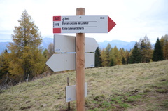 E517-ldp003-00-d02-181017-ED