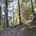 E517-ldp008-00-p01-181024-ED
