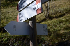 E517-ldp010-01-d04-181024-ED