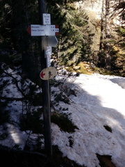 E518A-171117-cz-busedolae