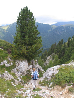 E522-Tesero-Pizzancae-45