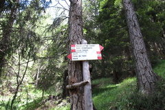 E523-ldp004-00-d1-120821