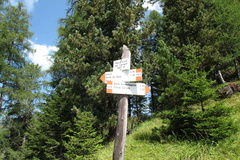 E523-ldp006-00-p1-120821