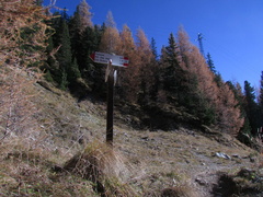 E528-ldp001-00-p01-cc