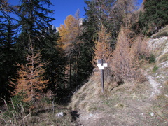 E528-ldp001-00-p02-cc