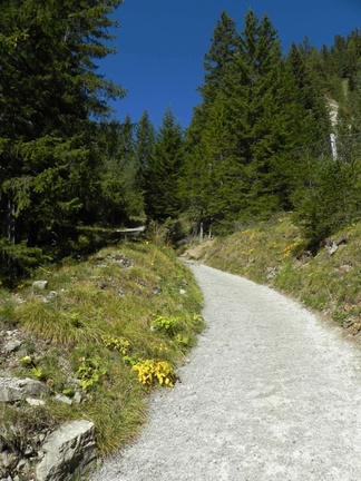 E530-101007-5662 (24 visite) E530-101007-5662