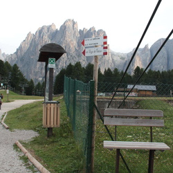 009-00