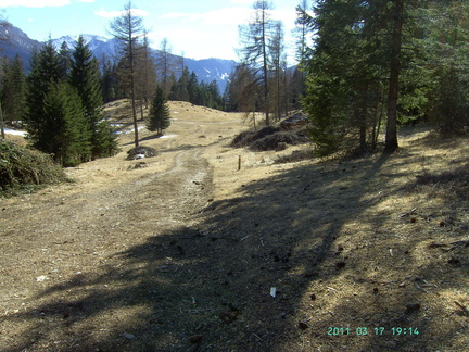 E543-110317-3244