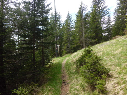 E544-ldp008-00-p1-RG-160524