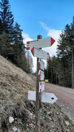 E544B-ldp002-10-d02-230416-PB (199 visite) E544B-ldp002-10-d02-230416-PB