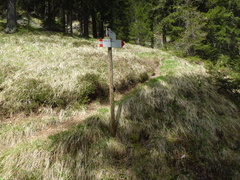 E544B-ldp004-00-d1-RG-160524