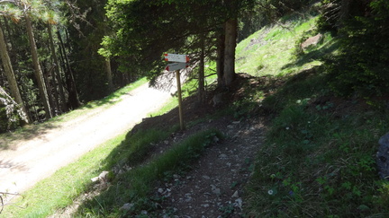 E545-ldp001-00-p01-171613-ED