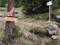 E545-ldp001-04-p1-101023