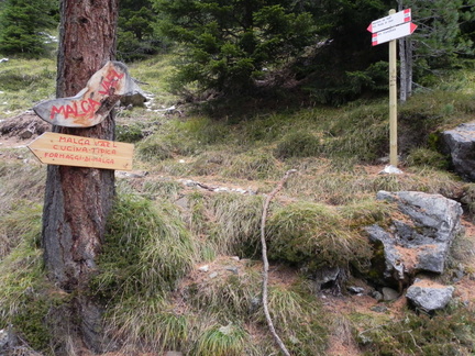 E545-ldp001-04-p1-101023