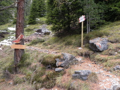 E545-ldp001-04-p2-101023