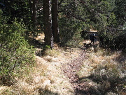 E571-Ispezione-140315