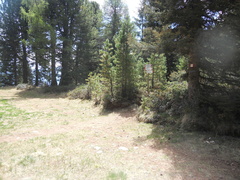 E573-ldp009-00-p1-170528-MB