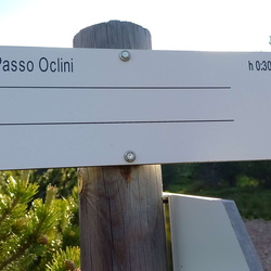 010-00