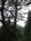 DSC04877