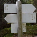 E580-ldp003-00-d02-181017-ED
