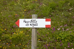 E604A-ldp000-00-d1-170720-td