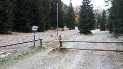 E605-ldp010-00-p01-251025-MB