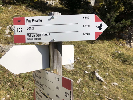 E607-ldp003-00-d03-211014-ED