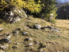 E607-ldp003-00-p01-211014-ED