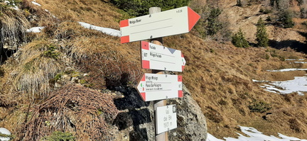 E607-ldp010-00-d01-20211119