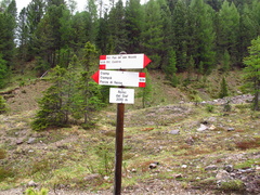 E608-ldp003-00-d1-170603-EG