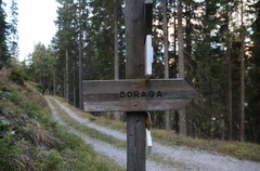 E616-ldp006-00-d02-181024-ED